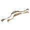 MCRS - Back Strap (D)